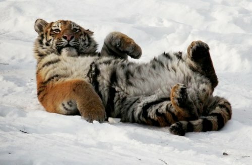 ������� �������� � ����� ��������� � ���������� ����� ������