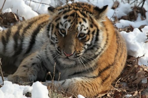 ������� �������� � ����� ��������� � ���������� ����� ������