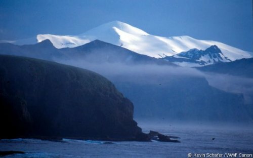 11 ������ � ���� ������������ � ������������ ������