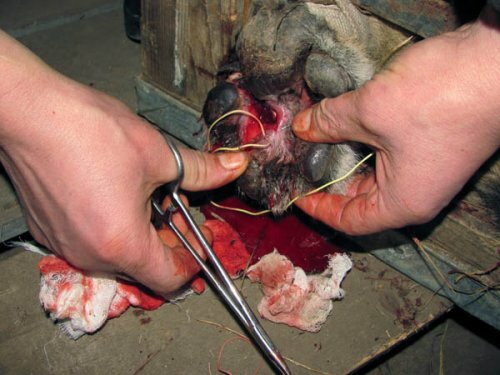 ������� � ������ ������� ������� �������� �� �������� ����