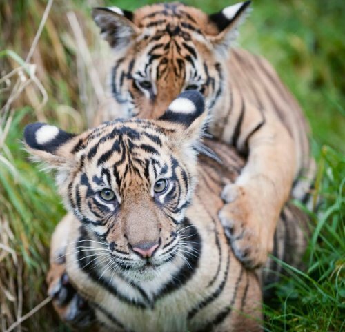 ��������, ��� ������� ������ � ����� ������ � �������� �������! 