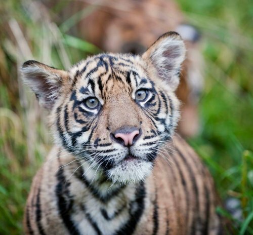 ��������, ��� ������� ������ � ����� ������ � �������� �������! 