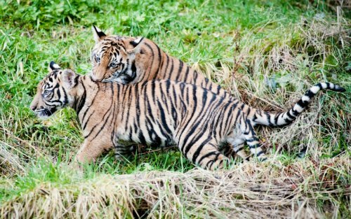 ��������, ��� ������� ������ � ����� ������ � �������� �������! 