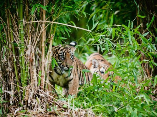 ��������, ��� ������� ������ � ����� ������ � �������� �������!