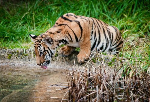 ��������, ��� ������� ������ � ����� ������ � �������� �������! 