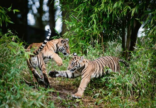 ��������, ��� ������� ������ � ����� ������ � �������� �������! 