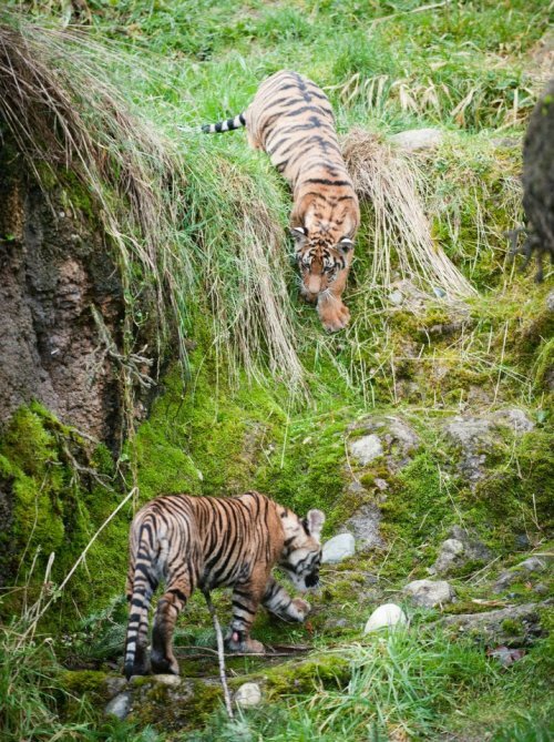 ��������, ��� ������� ������ � ����� ������ � �������� �������! 