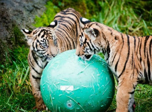 ��������, ��� ������� ������ � ����� ������ � �������� �������! 