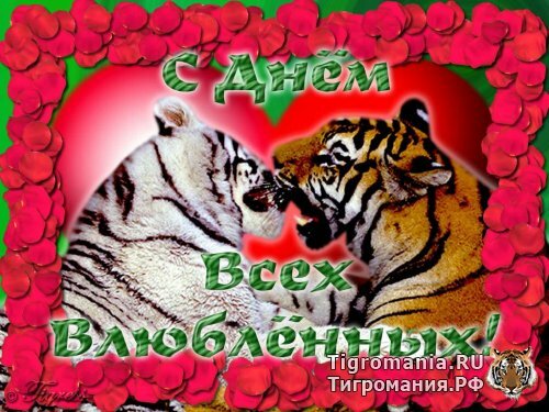 �������� ������� ��������� � ������� ������