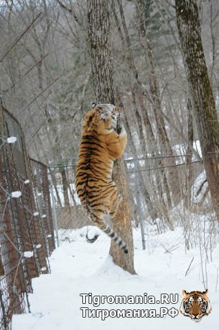 ������ ����� ������!