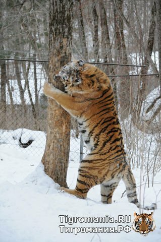 ������ ����� ������!