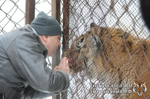 ����� �������� ���������� � ������� (�����)