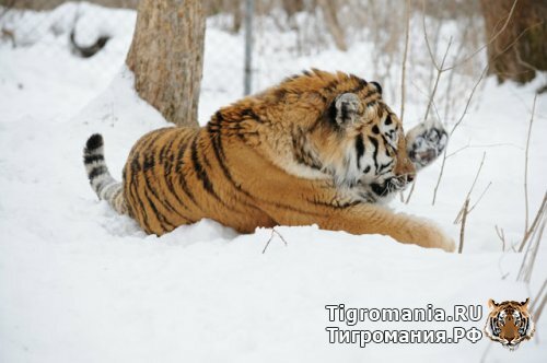 ������ ����� ������!