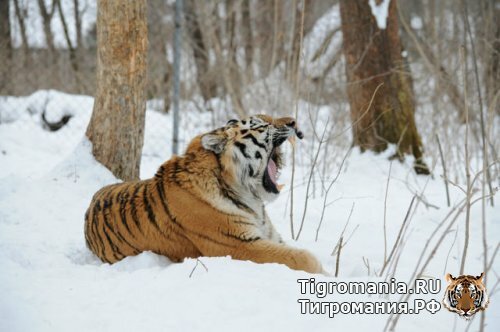 ������ ����� ������! 17 ����� 2013 �.