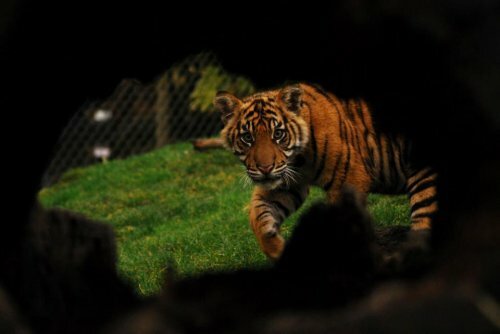 ������� ������ � ����� ������ �� �� ����, � �� �����!