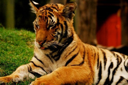 ������� ������ � ����� ������ �� �� ����, � �� �����!