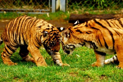 ������� ������ � ����� ������ �� �� ����, � �� �����!