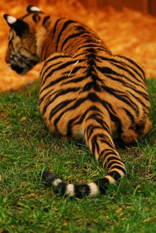 ������� ������ � ����� ������ �� �� ����, � �� �����!