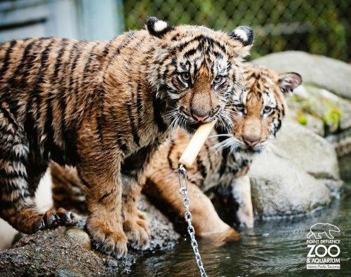 �������� ������ � ����� - �� �������!