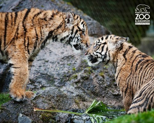 �������� ������ � ����� - �� �������!