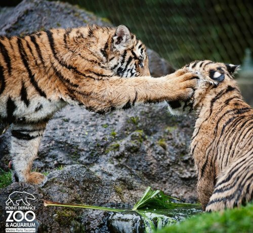 �������� ������ � ����� - �� �������!