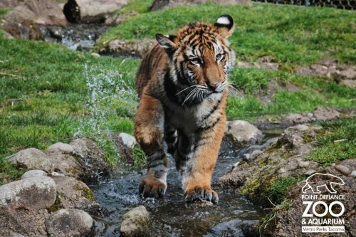 �������� ������ � ����� - �� �������!