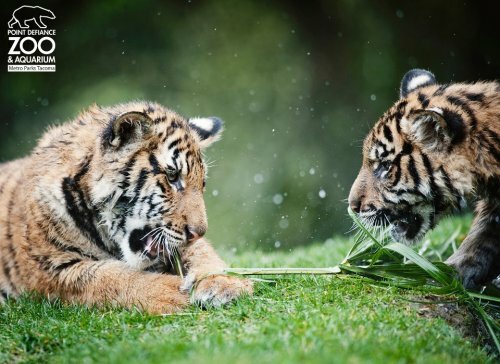 �������� ������ � ����� - �� �������!