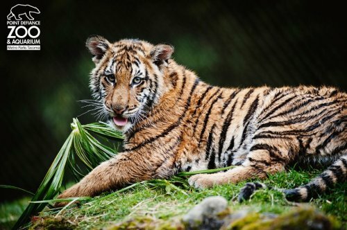 �������� ������ � ����� - �� �������!