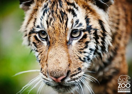 �������� ������ � ����� - �� �������!