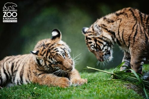 �������� ������ � ����� - �� �������!