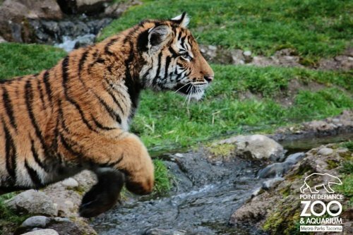 �������� ������ � ����� - �� �������!