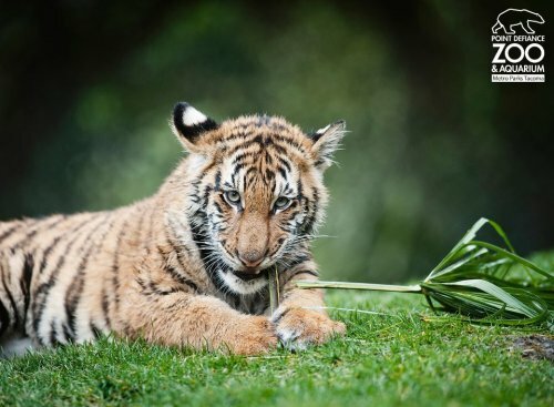 �������� ������ � ����� - �� �������!