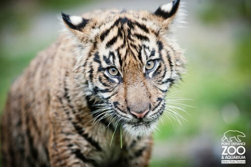 �������� ������ � ����� - �� �������!