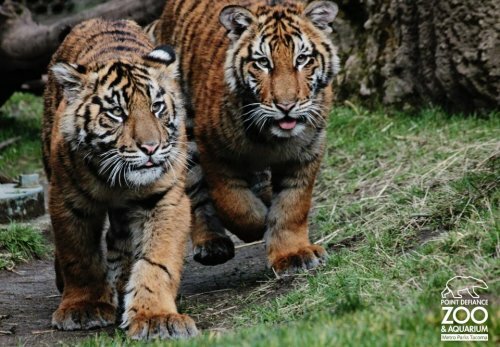 �������� ������ � ����� - �� �������!