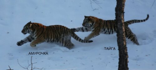 ������� �������� �� ����������� ������-����� ����� ������