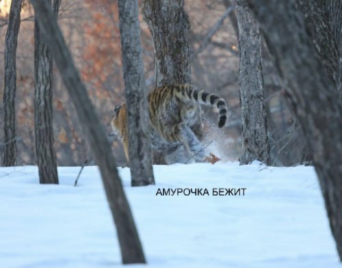 ������� �������� �� ����������� ������-����� ����� ������