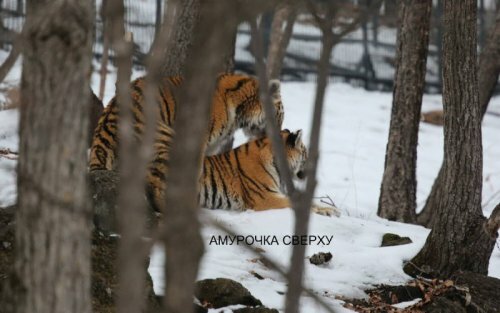 ������� �������� �� ����������� ������-����� ����� ������