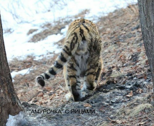 ������� �������� �� ����������� ������-����� ����� ������