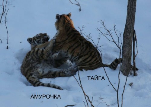 ������� �������� �� ����������� ������-����� ����� ������