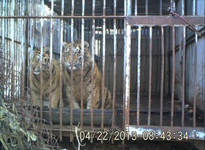 ������� ������� � �����