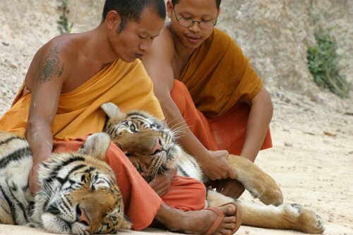 ������ �� ��������� ��������� � �������� ����� ��� � ��� � �������