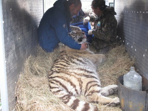 ������� ��������� ��������� ����� �������� ������