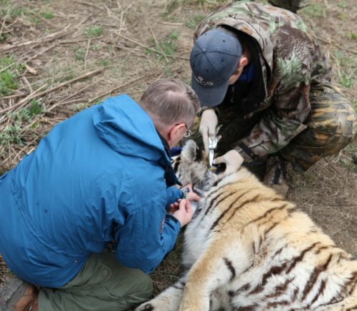 ������� ��������� ��������� ����� �������� ������