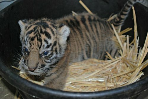 ������������ �������� �� ���������� (����, �����)