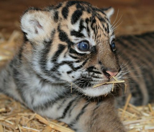 ������������ �������� �� ���������� (����, �����)