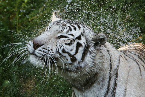 ����� � ������ � ������