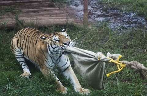 ����������� �������� ���������� ���������� ����� � ������