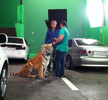 ������ ������ ��������� �������� � �������� ��������� (����)