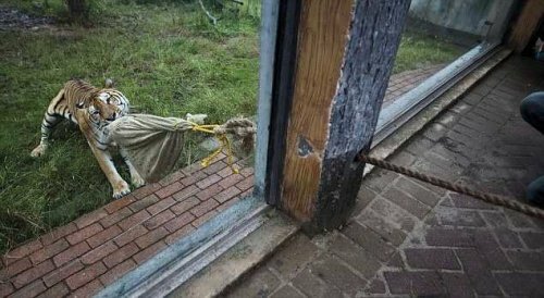 ����������� �������� ���������� ���������� ����� � ������