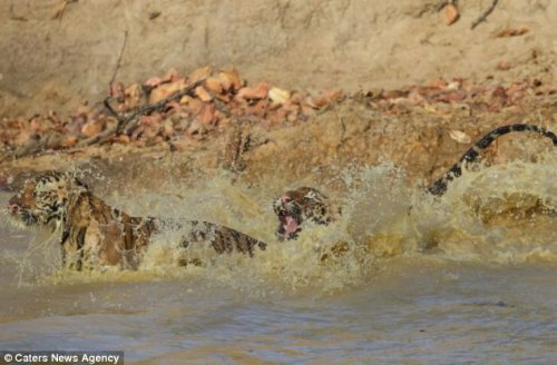 ��� ������, ��� ����� �� ����� ����?!